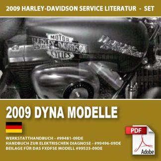 2009 Dyna Modelle