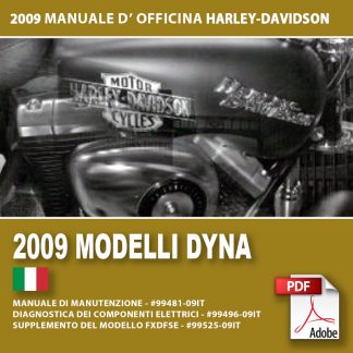 2009 Manuale di manutenzione modelli Dyna