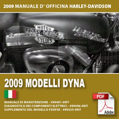 2009 Manuale di manutenzione modelli Dyna