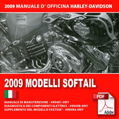 2009 Manuale di manutenzione modelli Softail