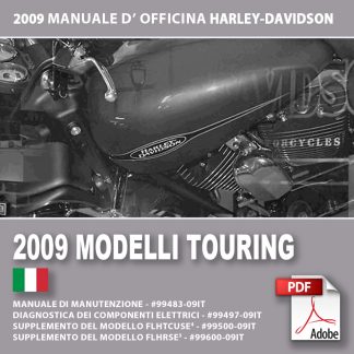 2009 Manuale di manutenzione modelli Touring