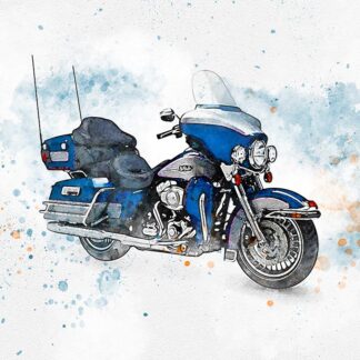 Touring & FXR Models